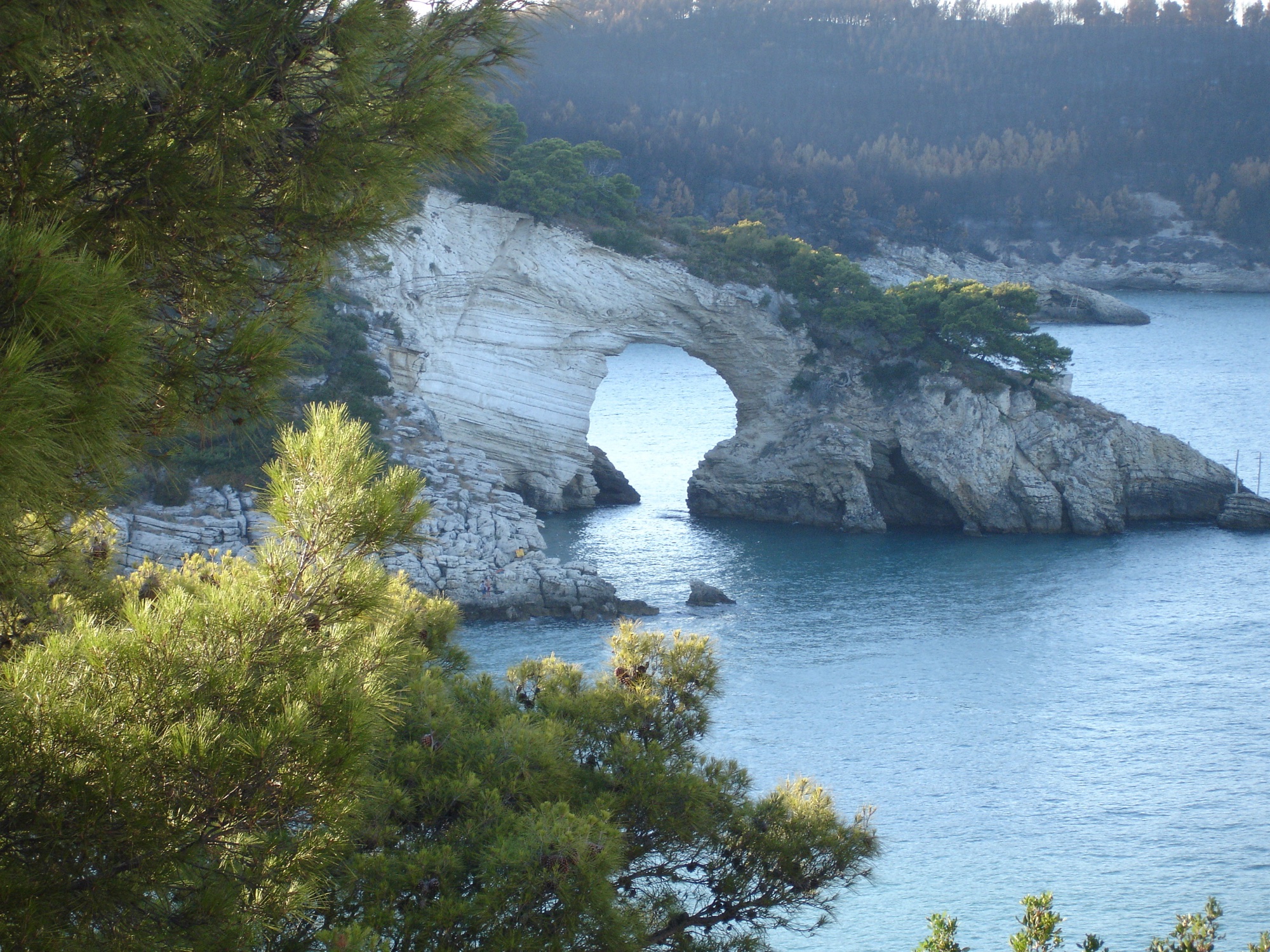 L’architiello sulla costa di Vieste