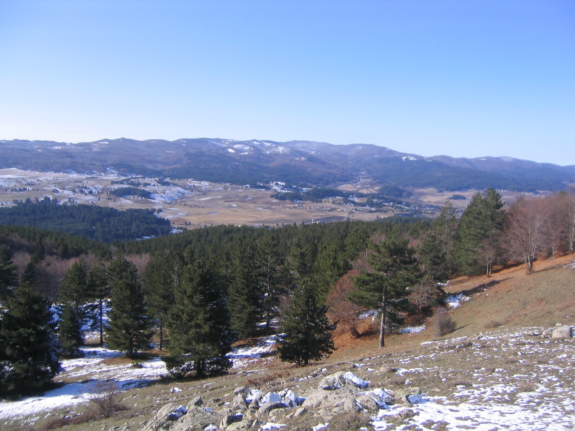 Vallata di San Nicola nella Sila Grande